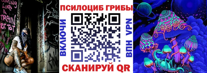 Псилоцибиновые грибы Psilocybe  Купить закладки  Волгореченск 